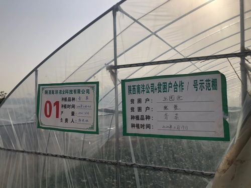 三方協同加碼，以技術轉讓與咨詢助推脫貧攻堅