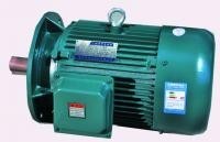 青州三相異步電動機哪家?