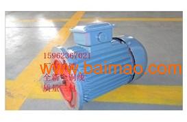 熱銷商品高效節能電動機,熱銷商品高效節能電動機生產廠家,熱銷商品高效節能電動機價格