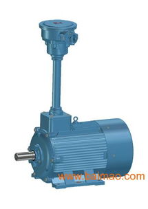 ybf2系列風(fēng)機(jī)專用電機(jī),ybf2系列風(fēng)機(jī)專用電機(jī)生產(chǎn)廠家,ybf2系列風(fēng)機(jī)專用電機(jī)價(jià)格